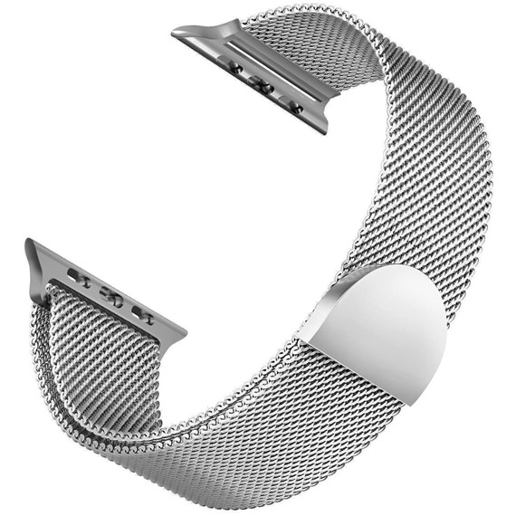 Microsonic Apple Watch SE 44mm Kordon Luxe Metal Twist Gümüş 1