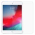 Microsonic Apple iPad Mini 5 7 9 2019 A2133-A2124-A2125-A2126 Temperli Cam Ekran Koruyucu 2